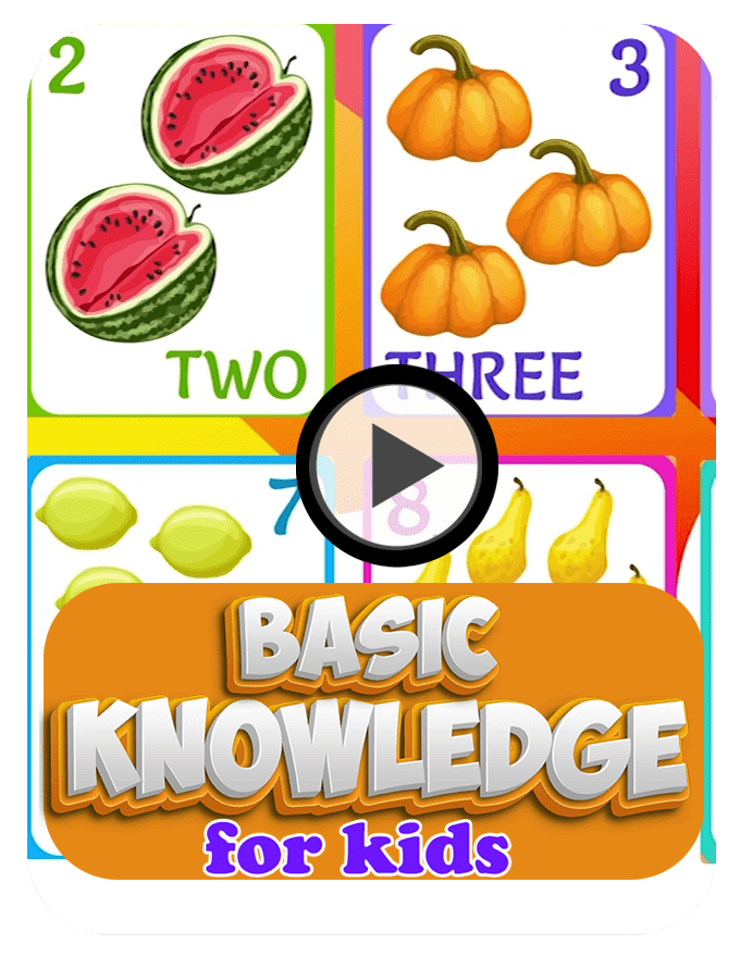 Basic knowledge for kids